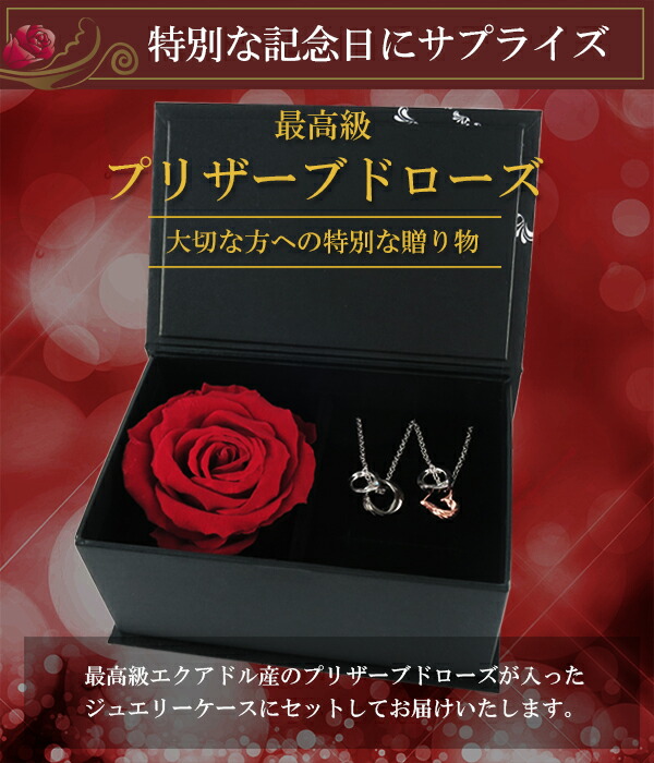 ctm-sn13-139-140-rose