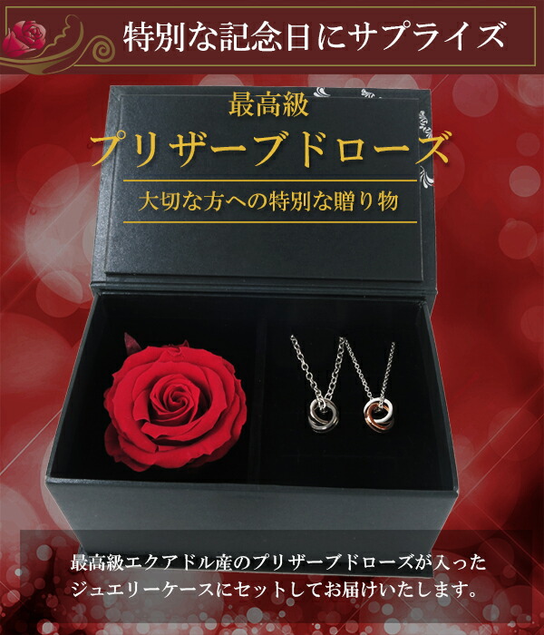 ctm-sn11-039-040-rose