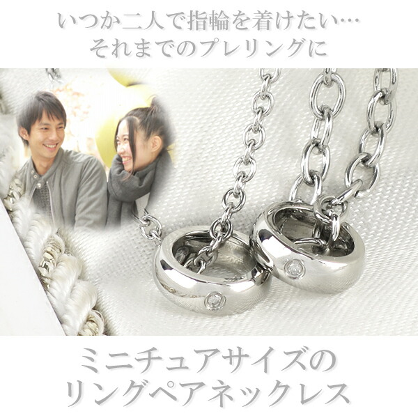 ctm-sn11-045-046-p-rose