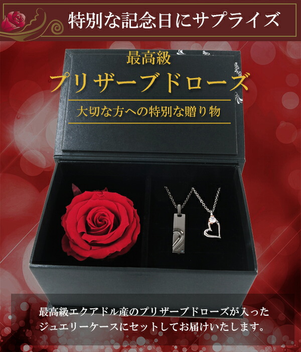 ctm-sn13-125-126-rose