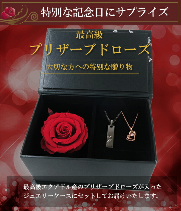 ctm-sn13-191-220-rose