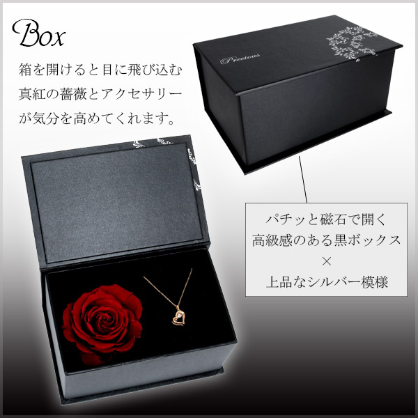 ctm-sn13-220-rose