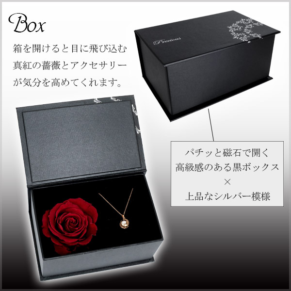 ctm-sn13-222-rose