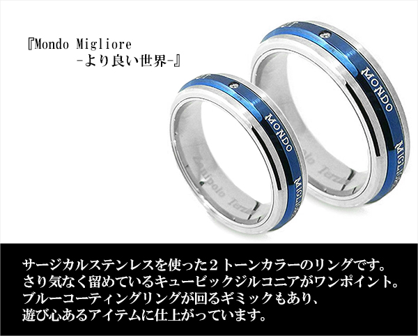 fs-ztr1303-p