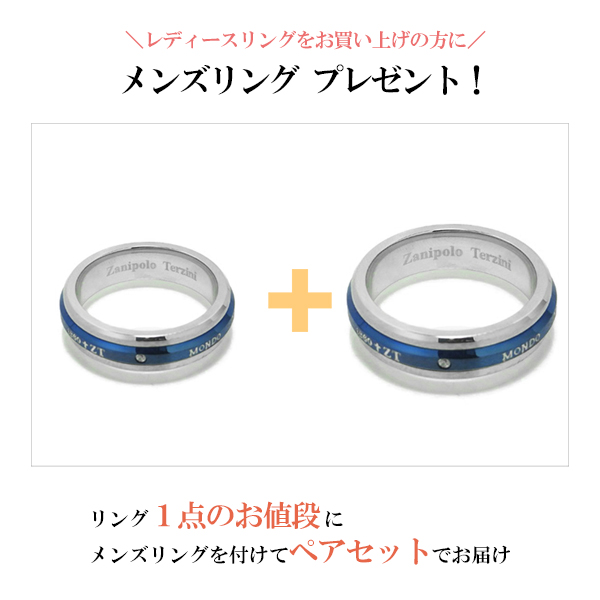fs-ztr1303-p