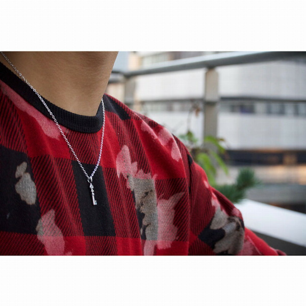 pds-ne1263