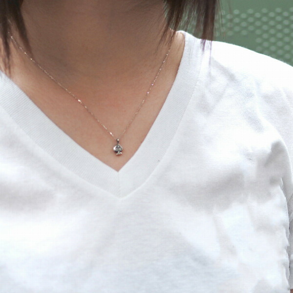 pds-ne618