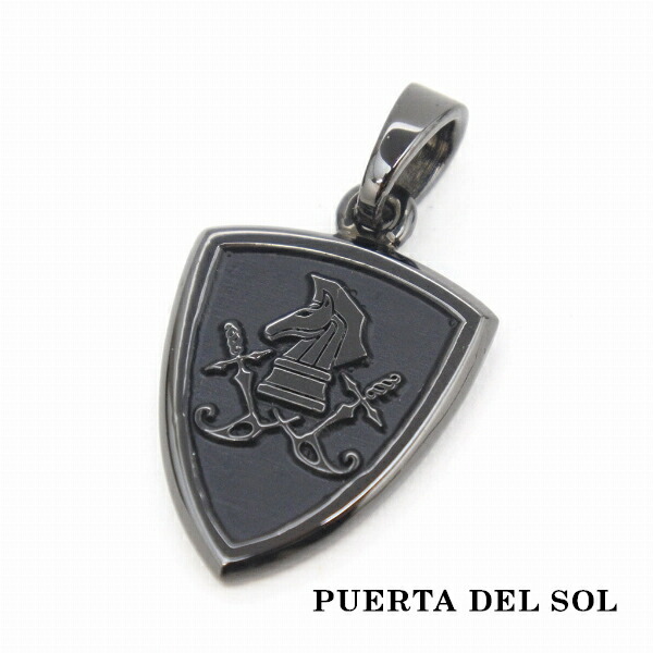 pds-pe1101bk
