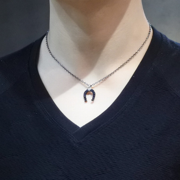 pds-pe1221bkpe1222bk