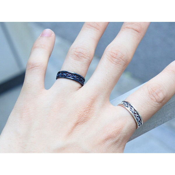 pds-r1091bl
