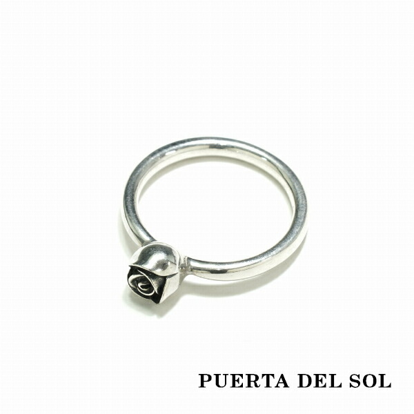 pds-r667