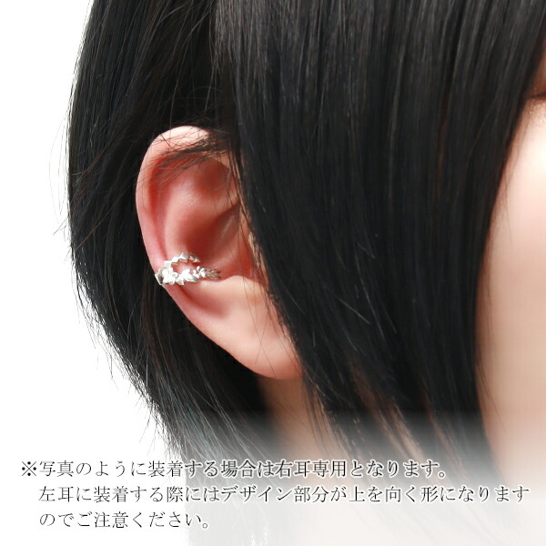 fg-p144