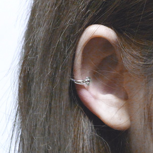 fg-p110-rb