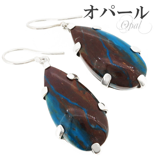 op-p1001