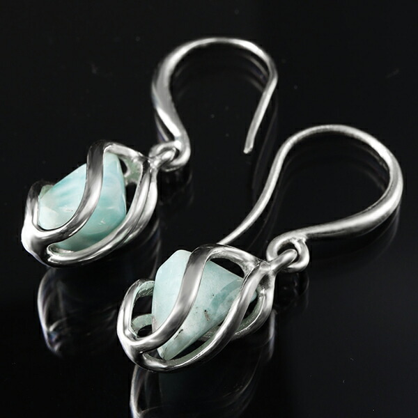 la-p1011