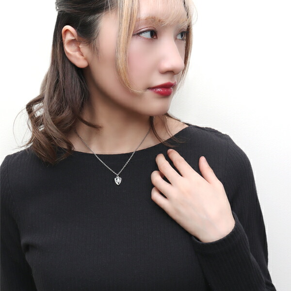 pds-ne1103
