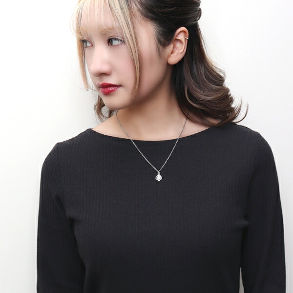 pds-ne1250