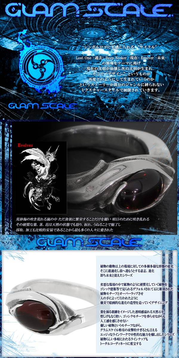fgs-er-001gn