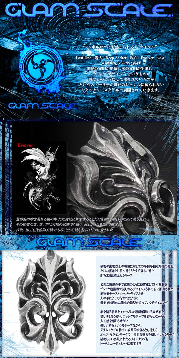 fgs-er-005-new