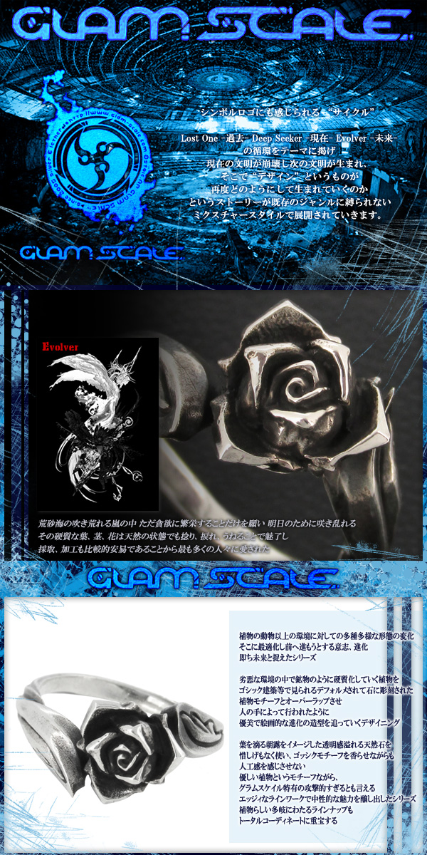 fgs-er-007