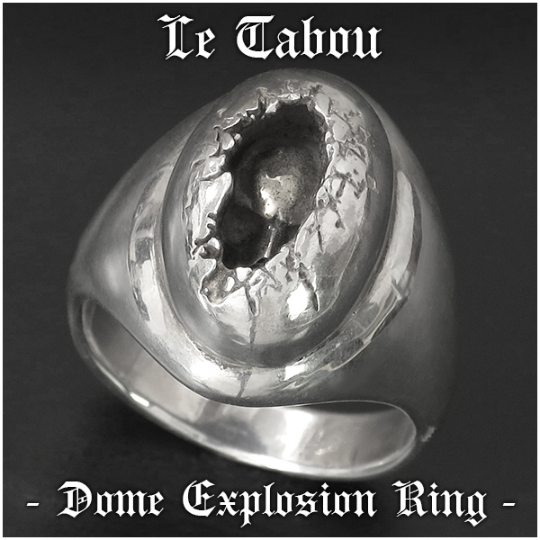 ltb-r-dome