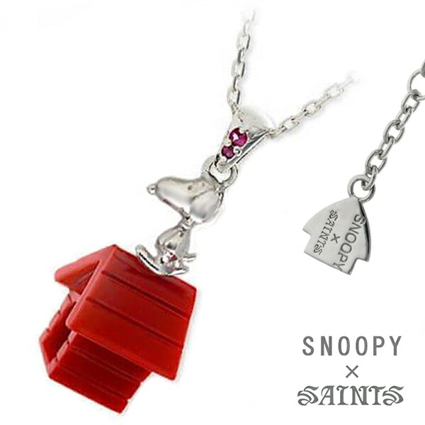 sin-snpy-n-01