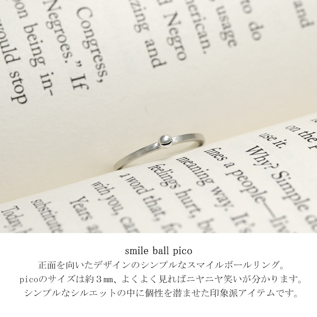 smm-sm-r48