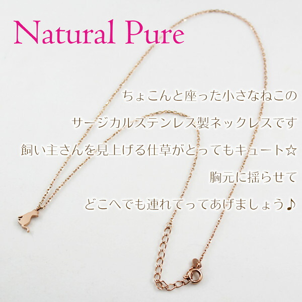 fks-npn-101