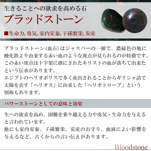 bld-t02