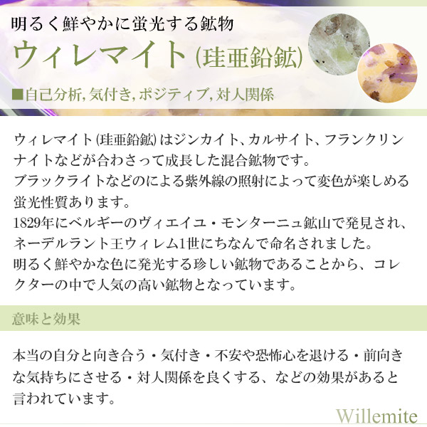 wil-t03