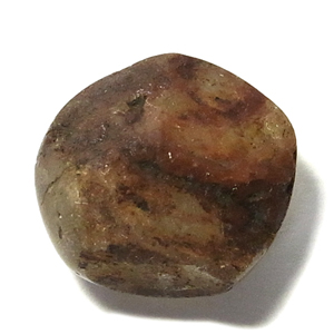 rcs-21