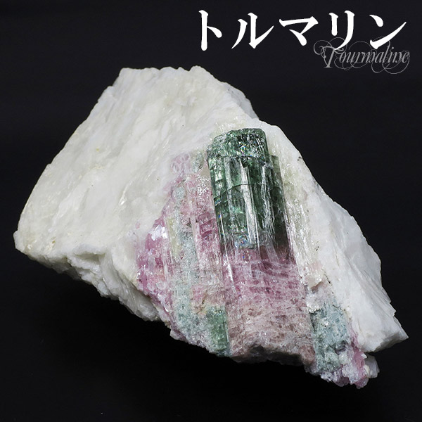 tor-c09