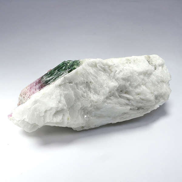 tor-c09