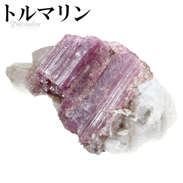 tor-c13