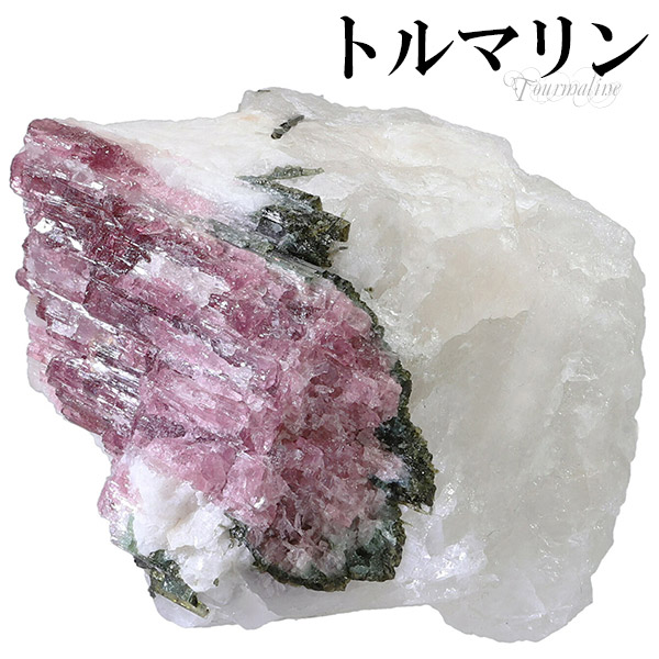 tor-c15