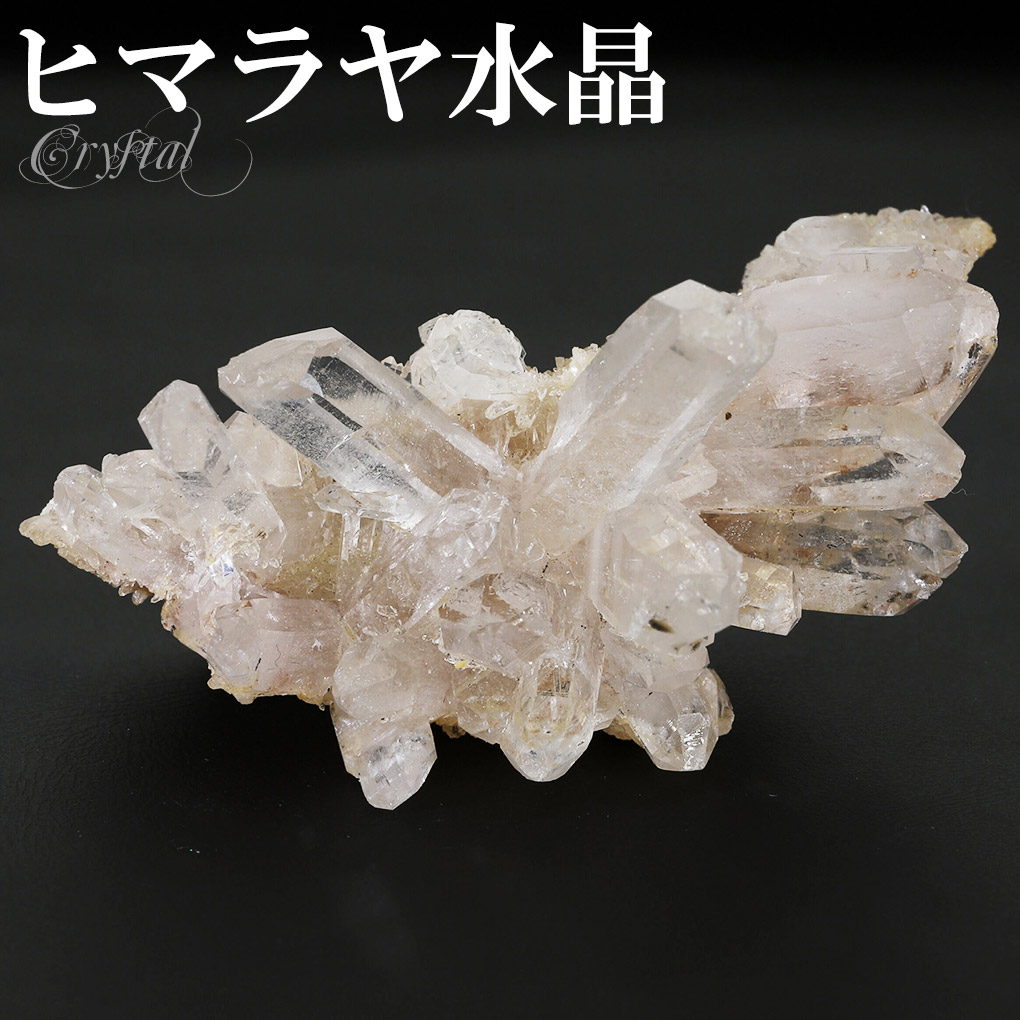cr-1155
