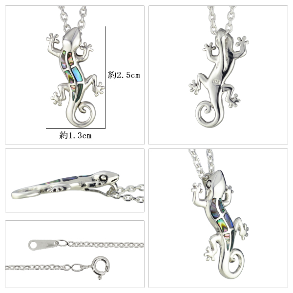 fa-p-0249-chain