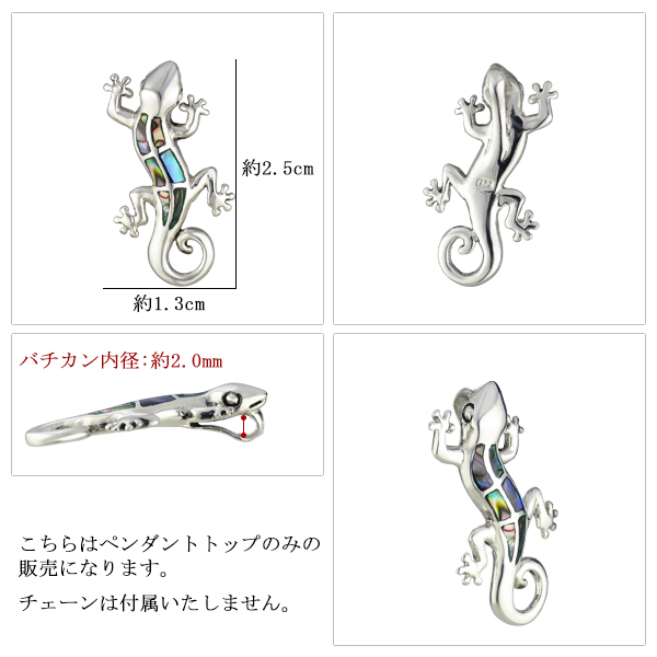 fa-p-0249