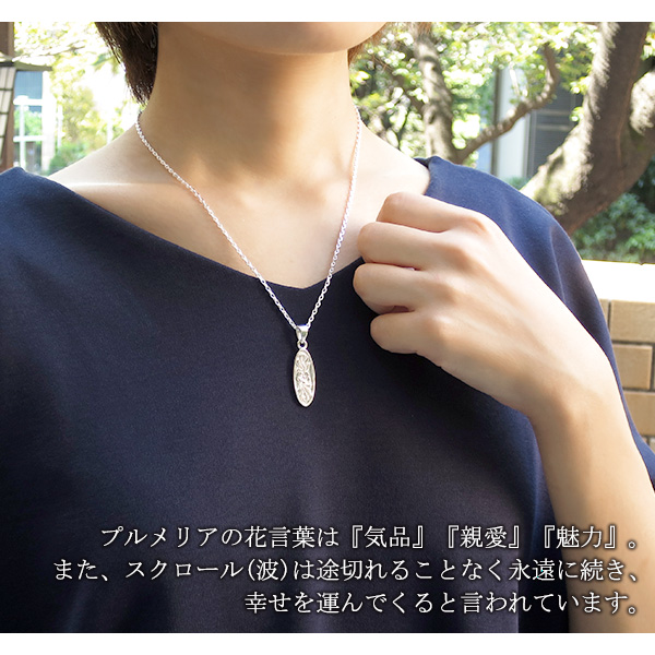 fa-p-6654-chain