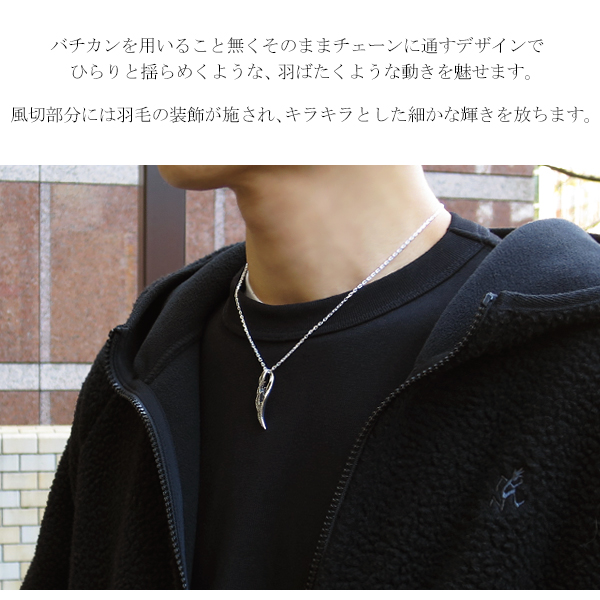 fa-t0050-0051