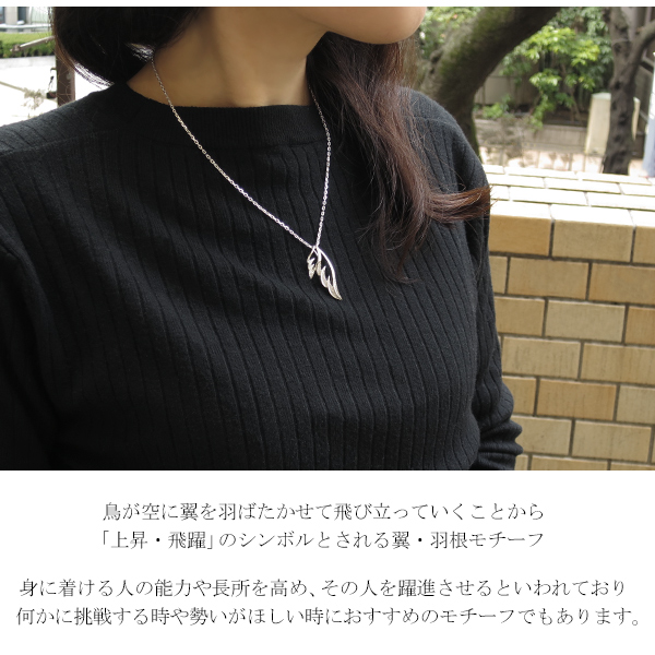fa-t0050-0051