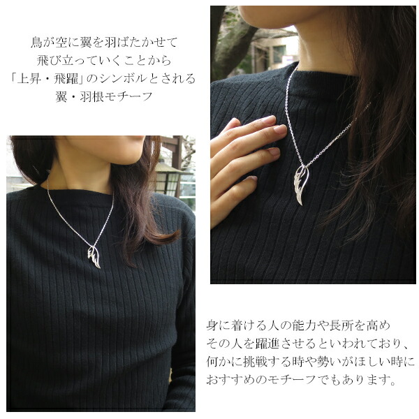 fa-t0051