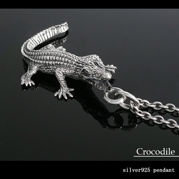 tgr-t02-chain