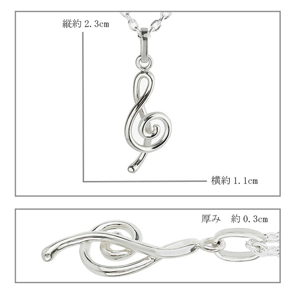 fn-ncp213-chain