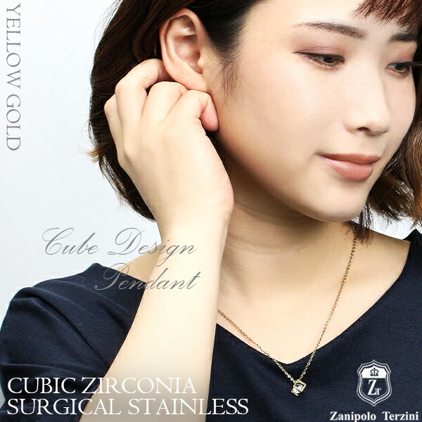 fs-ztp3811-p