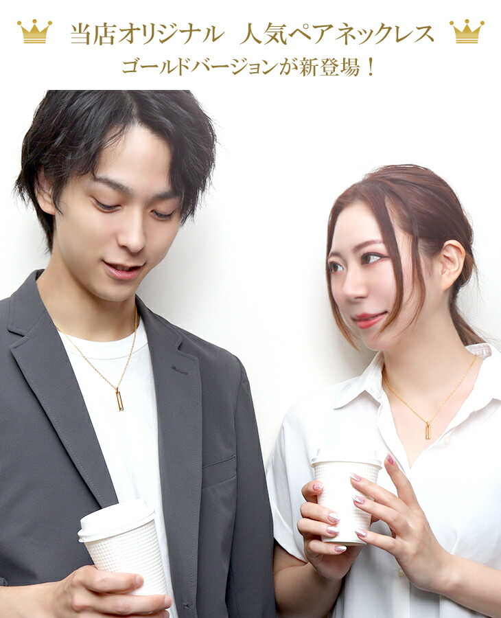flc-p95-2504-2505-gd