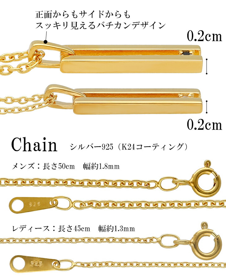 flc-p95-2504-2505-gd