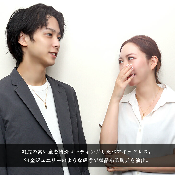 flc-p95-2504-2505-gd