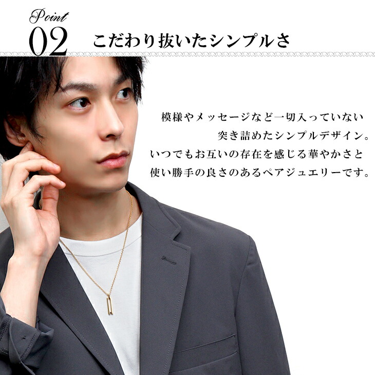 flc-p95-2504-2505-gd