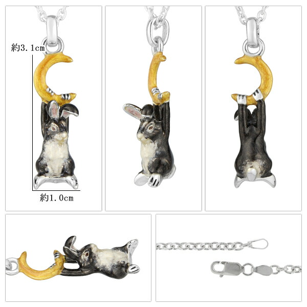 fn-cs213-chain